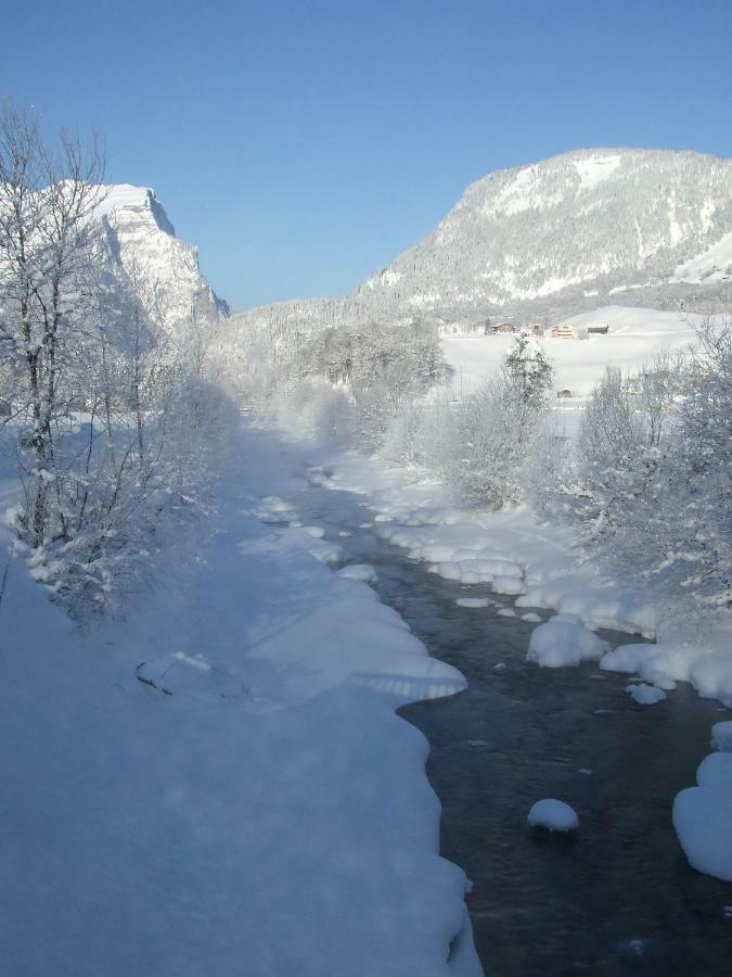 Ruef Wohlfuehl-Apartments Au (Vorarlberg) Eksteriør billede