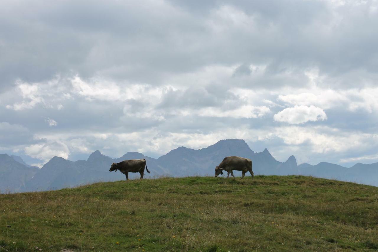 Ruef Wohlfuehl-Apartments Au (Vorarlberg) Eksteriør billede